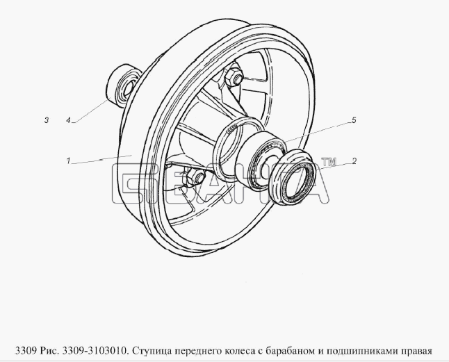 ГАЗ ГАЗ-3309 (Евро 2) Схема Ступица переднего колеса с барабаном и